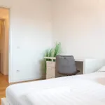 Joy Fructus 30 Apartment Timisoara