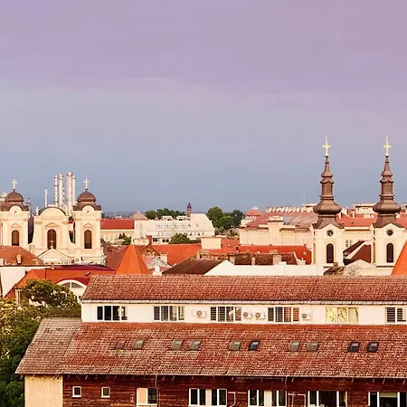 Joy Fructus 30 Timișoara