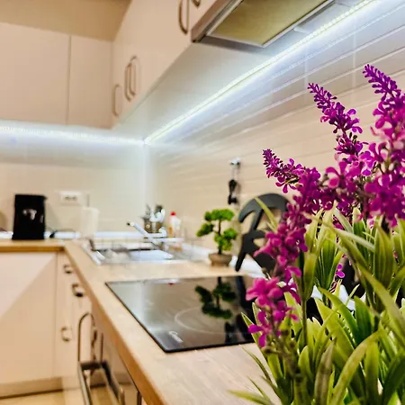 Joy Fructus 30 Apartament *