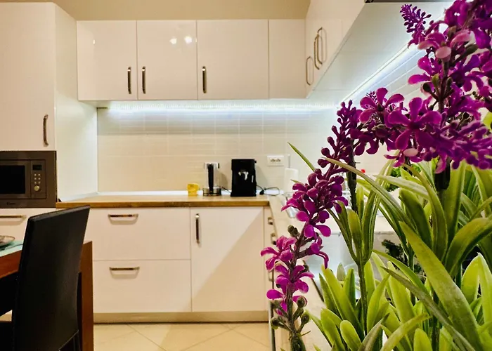 Joy Fructus 30 Appartement