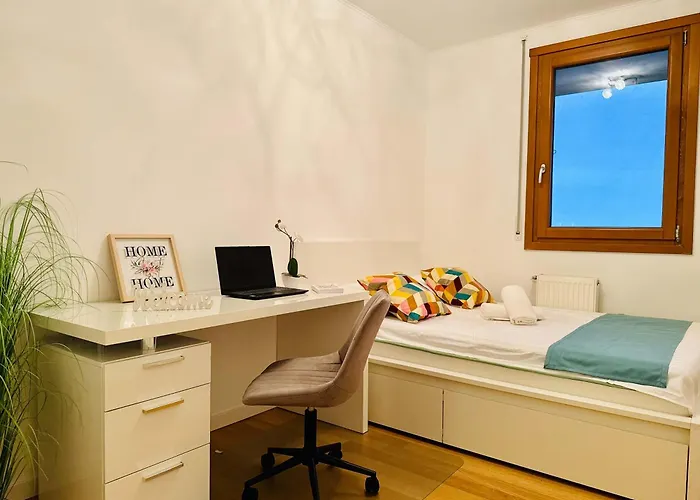 Joy Fructus 30 Timişoara