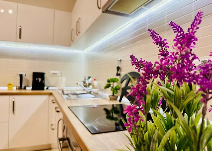 Joy Fructus 30 Appartement *