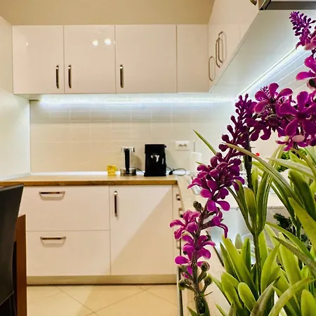 Joy Fructus 30 Appartement
