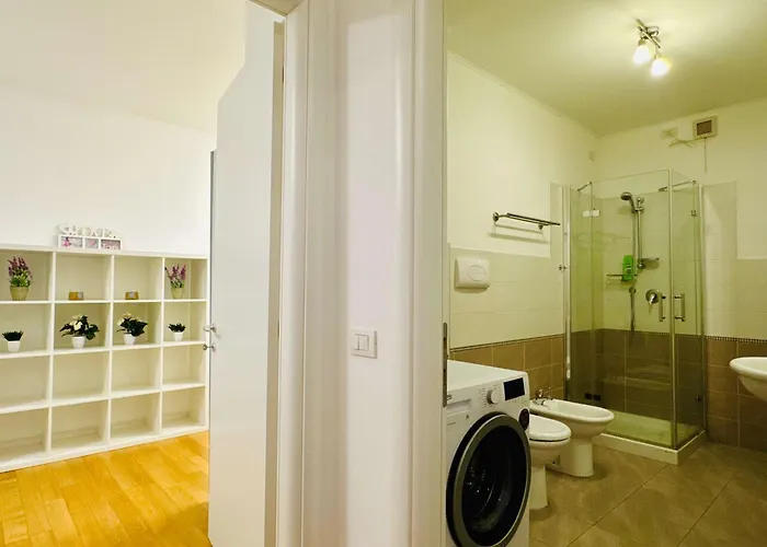 Joy Fructus 30 * Timisoara