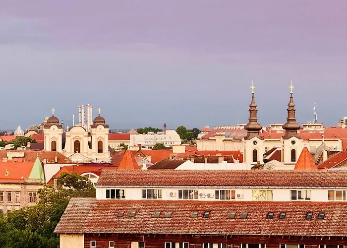 Joy Fructus 30 Timisoara